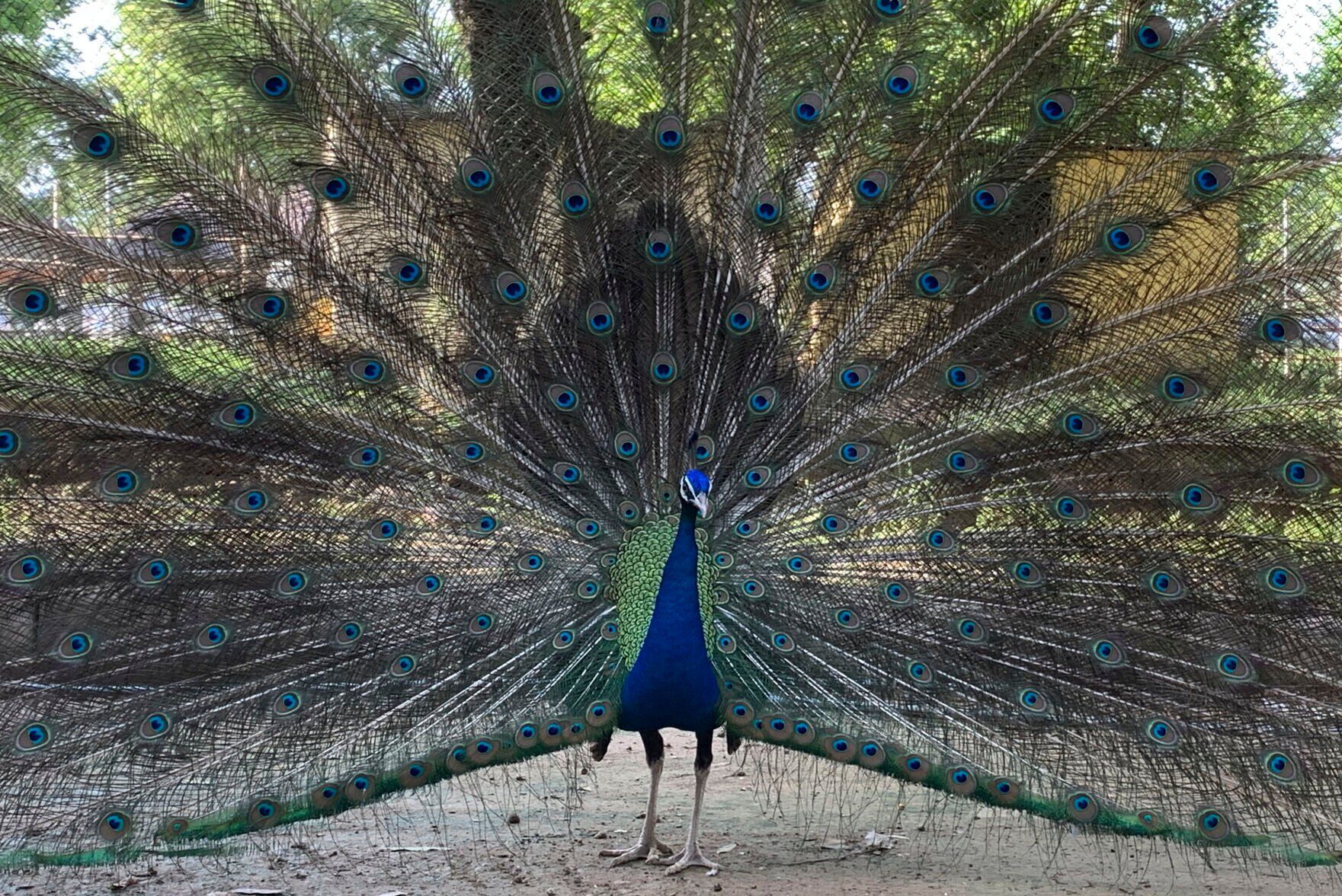 APTOPIX Pakistan Daily Life